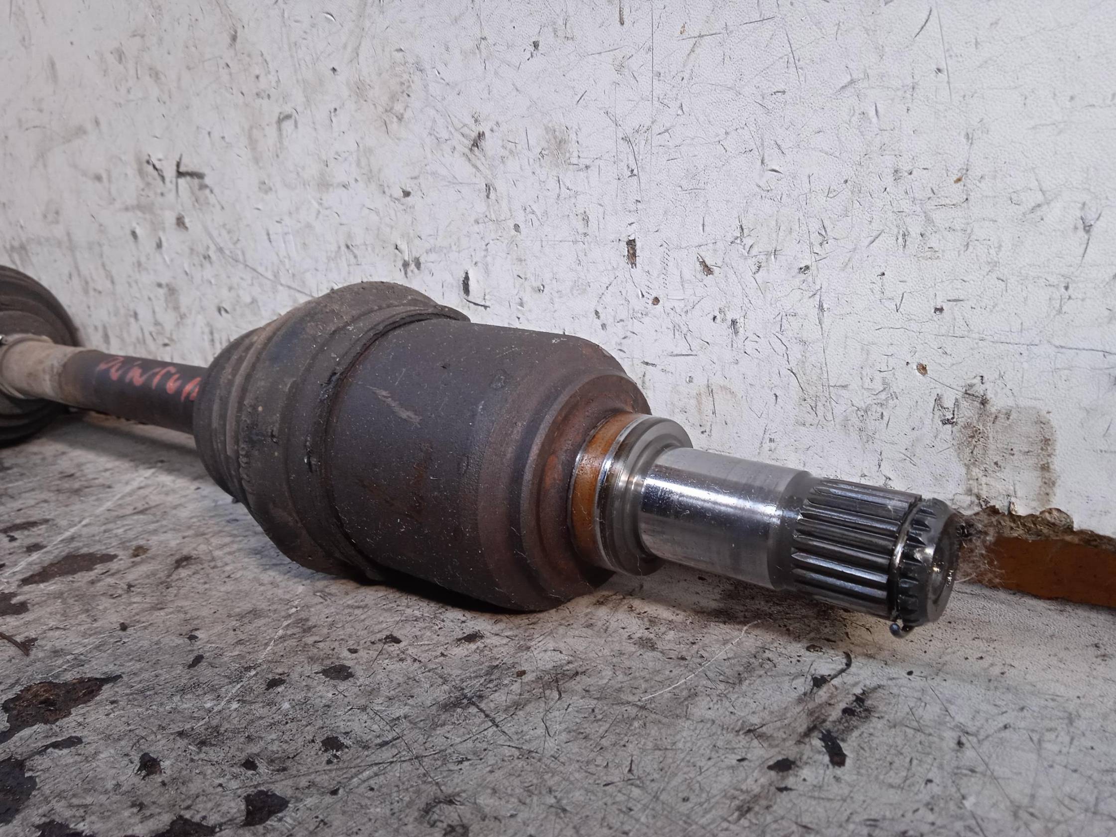 Semialbero ant. compl. sx.